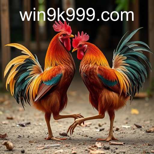 Exploring the Rise of Online Sabong and the Impact of 9k999